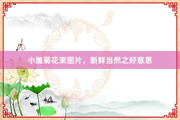 小雏菊花束图片，新鲜当然之好意思