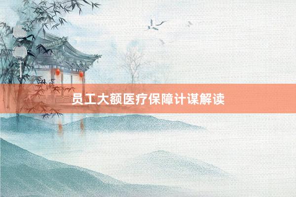 员工大额医疗保障计谋解读
