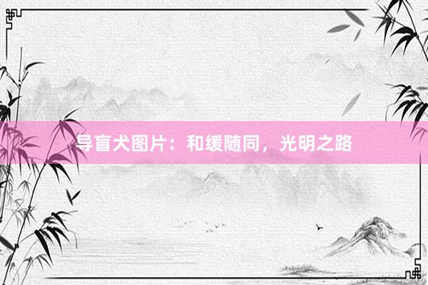 导盲犬图片：和缓随同，光明之路