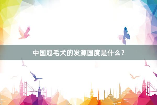 中国冠毛犬的发源国度是什么？
